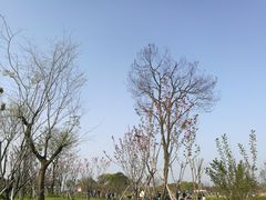 -瑶湖郊野森林公园