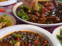 -京悦南门涮羊肉·羊蝎子火锅(田林路店)
