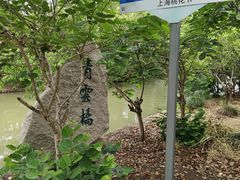 -南汇桃花村