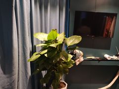 -怡心阁·水疗SPA(天府广场店)