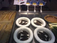 -渔公码头·九龙湾国际饭店
