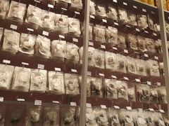 -KKV(深圳宏发大仟里店)