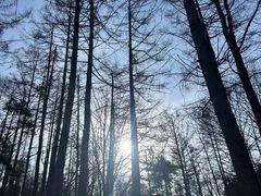 -洛阳白云山景区