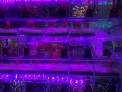 -三旗百汇商品城