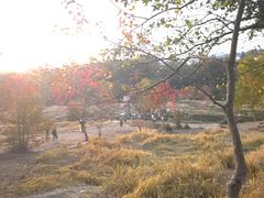 -塔川景区