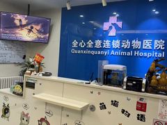 -全心全意连锁动物医院·微创中心·内科急重症·心脏专科(丰管路店)