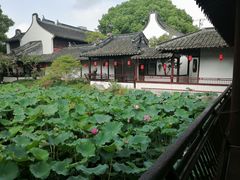 -上海醉白池公园