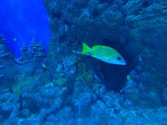 -成都浩海立方海洋公园