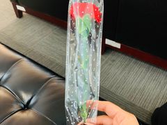 -上海和展广汽丰田4S店(老闵行店)
