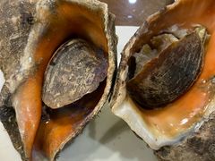 -抹直口特色菜馆(一店)