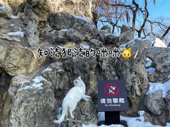 -张学良旧居陈列馆(大帅府)