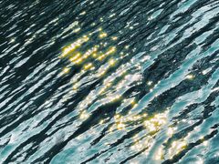 -西湖外事游船(花港观鱼码头)