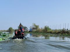 -洪湖生态旅游区