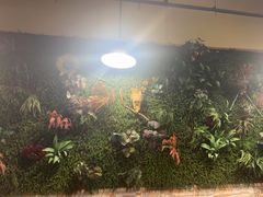 -味之绝热血美蛙鱼火锅(中坝店)