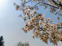 -扬州市茱萸湾风景区