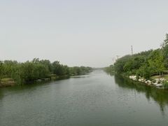 -大兴滨河森林公园