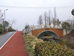 -上海长兴岛郊野公园