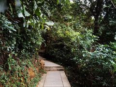 -梧桐山风景名胜区