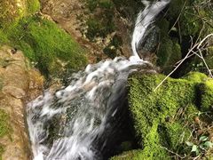 -鹿院坪生态旅游景区
