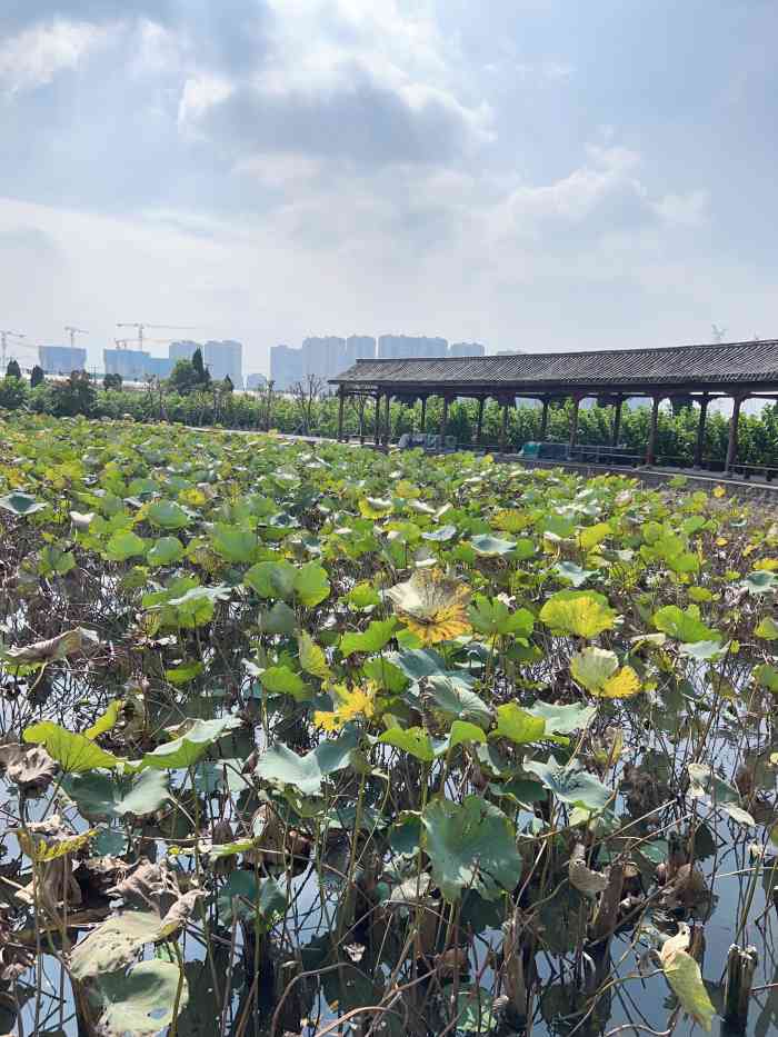 宁波天宫庄园摘草莓图片