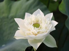 -白沙门生态公园