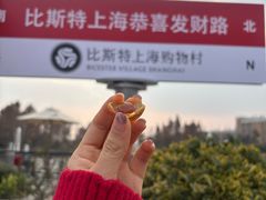 -比斯特上海购物村精品奥特莱斯