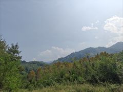 -马楼鱼庄(蓝田)