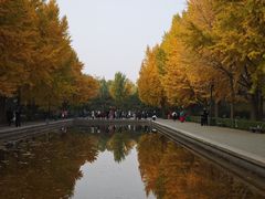 -玲珑塔公园