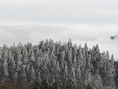 -永州阳明山国家森林公园