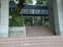 -香港大学