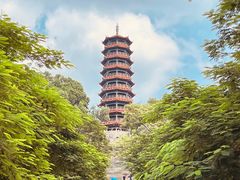 -红花山公园