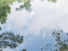 -燕晗山郊野公园