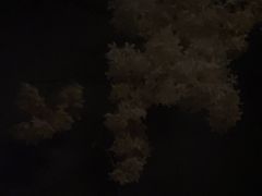 -澜·庭汇SPA会所(涉外店)