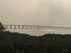 -宝安西湾红树林湿地公园