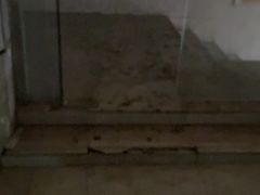 -奔马滚轴溜冰场