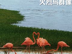-南宁南湖公园