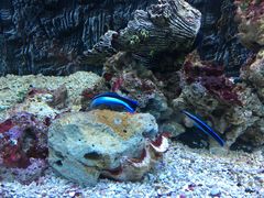 -北戴河圣蓝海洋公园