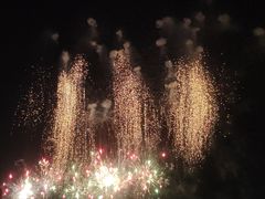 -九龙湖公园