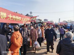 -蒲河大集
