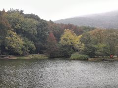 景点-紫霞湖公园