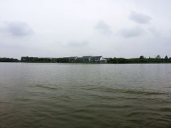 -溱湖国家湿地公园