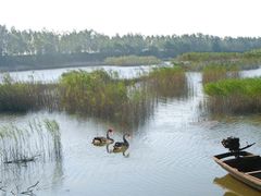 -嬉子湖生态旅游区