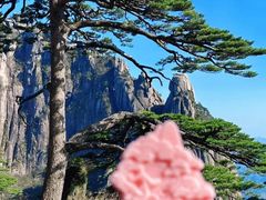 -新国线黄山风景区汽车站