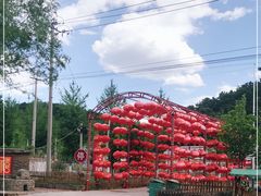 -龙福源密云水库灶台鱼