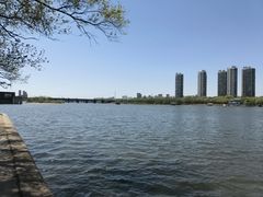 -长白岛森林公园