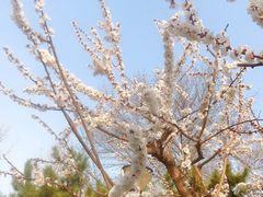 -玲珑塔公园