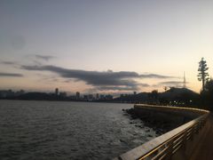-野狸岛