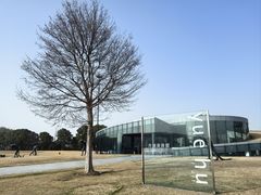 -上海月湖雕塑公园