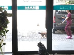 -美联众合动物医院·24h转诊中心