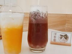 -滚猫咖啡·猫咖·猫友好撸猫(未来城店)